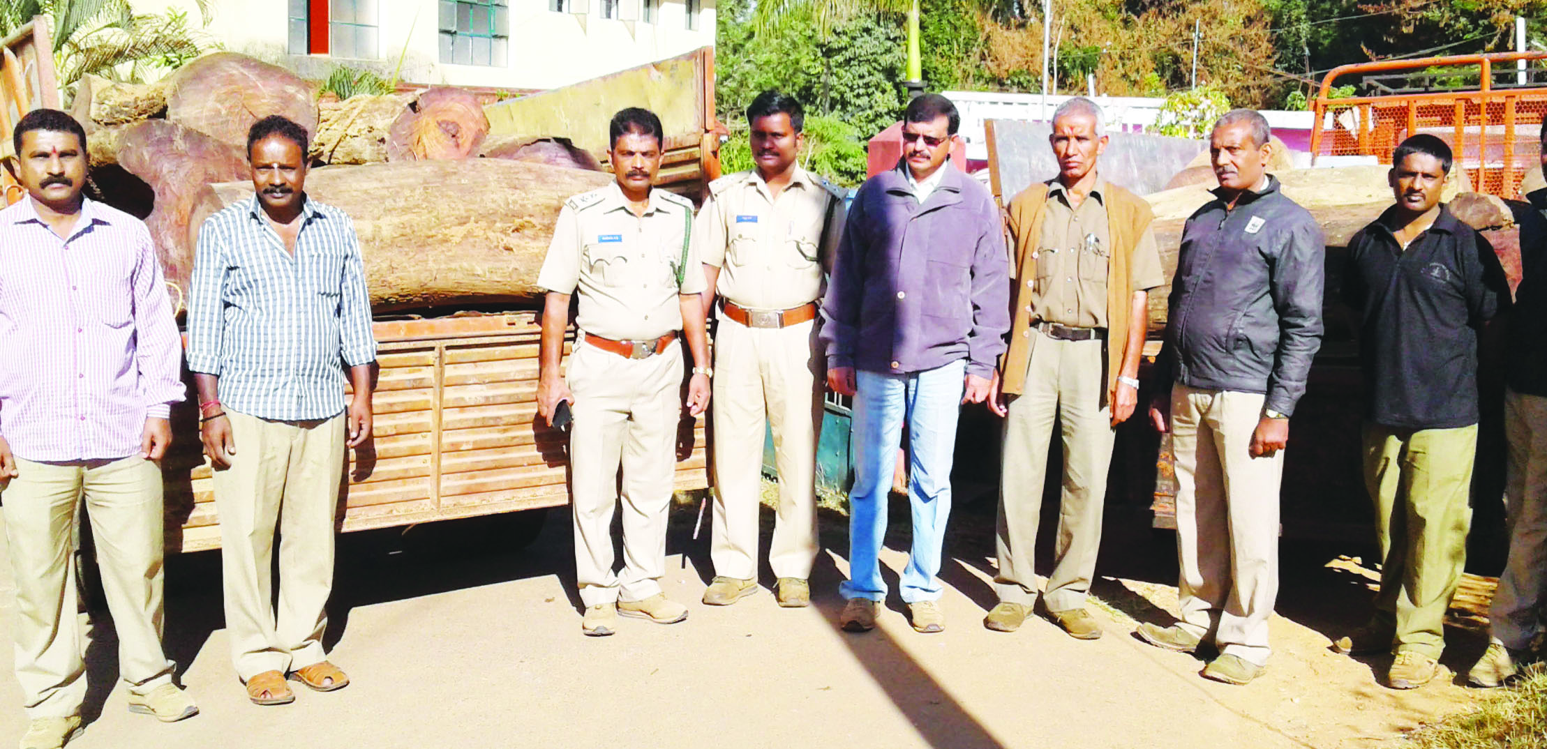 ಭಾರೀ ಮೌಲ್ಯದ ಬೀಟಿ ಮರ, ಎರಡು ಲಾರಿ ವಶ